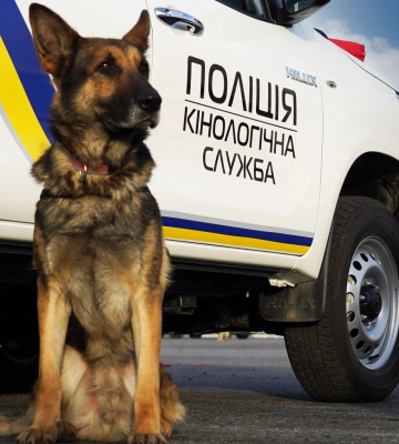 Що вміють знайти 33 собаки, які служать у поліції Львівської області