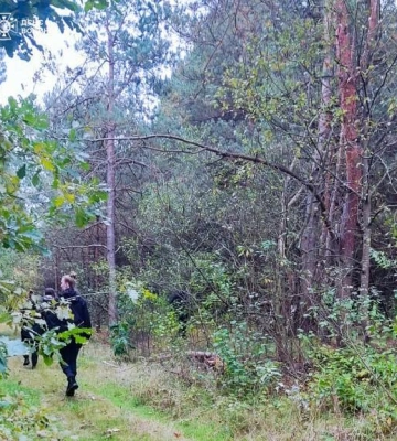 У лісі на Волині за раз зібрали 130 білих грибів і майже 80 підберезників і бабок 