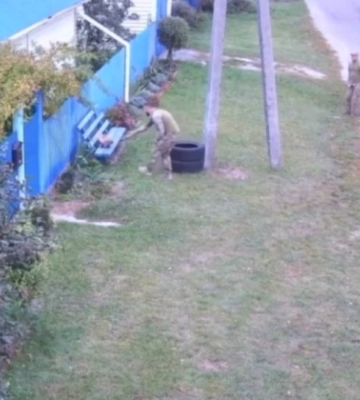 У Київському обласному ТЦК назвали ворожою пропагандою відео з «мобілізацією кота», відео