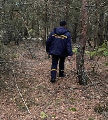 На Ужгородщині уночі шукали заблукалого грибника