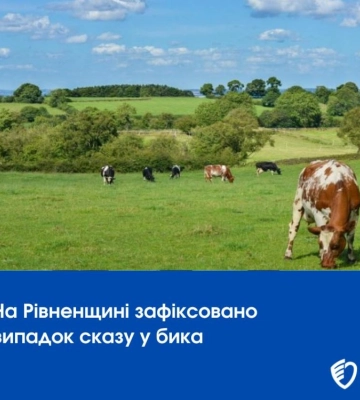 На Рівненщині зафіксовано випадок сказу у кота