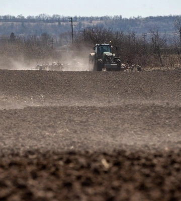 В Украине третий месяц подряд дешевеет земля: сколько стоит гектар теперь