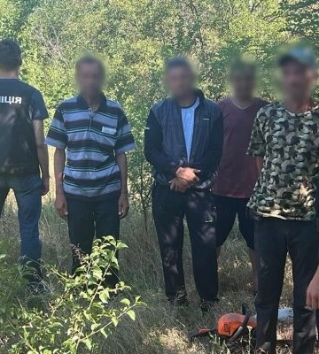 Завдали навколишньому середовищу збитків на понад 1,7 мільйонів гривень: на Миколаївщині поліцейські викрили організоване злочинне угруповання на незаконній вирубці дерев