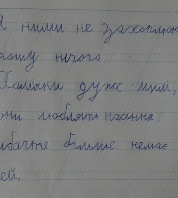 «Вибачте, більше немає ідей»: другокласник з Волині підкорив мережу чесним шкільним завданням