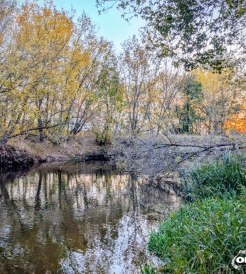 Коричневий рівень небезпеки: про стихійне явище попереджають на Харківщині