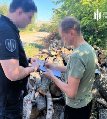 На Кіровоградщині посадовець лісництва дозволив вирубати сторічні дерева на суму понад ₴4 млн