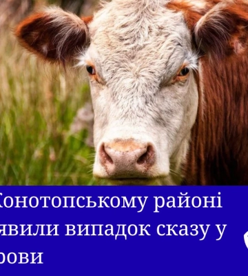 На Конотопщині зафіксовано випадок сказу у корови