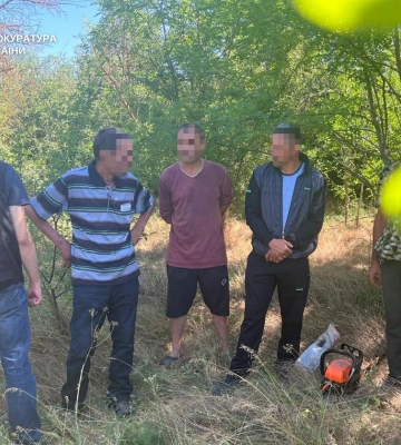 На Миколаївщині повідомлено про підозру учасникам злочинної групи «чорних» лісорубів. ФОТО