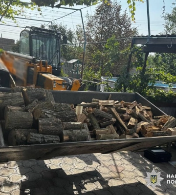 Масова вирубка дров на Одещині: поліція затримала двох чоловіків, - ФОТО