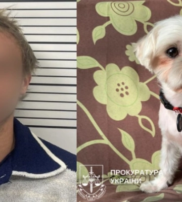 Через гавкіт кинув собаку об підлогу — у Києві судитимуть чоловіка за вбивство мальтійської болонки