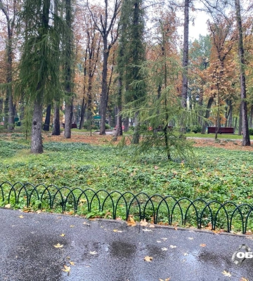Новини Харкова — головне 9 жовтня: ситуація у Куп’янську