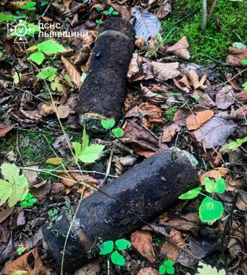 На Львівщині грибники знайшли артилерійські снаряди часів Другої світової, - ФОТО