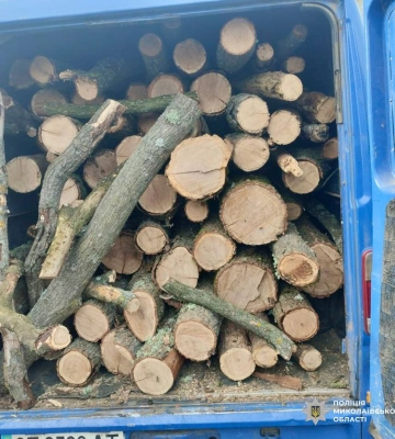 Первомайські поліцейські завершили досудове розслідування відносно лісоруба-порушника