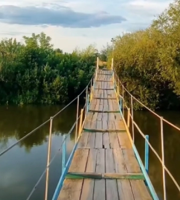 Як у Карпатах: де на Волині є підвісний міст через Стир (відео)