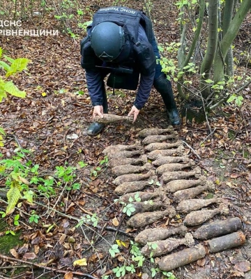 Збирав гриби у лісі: боєприпаси часів Другої світової війни виявив чоловік на Рівненщині — ДСНС
