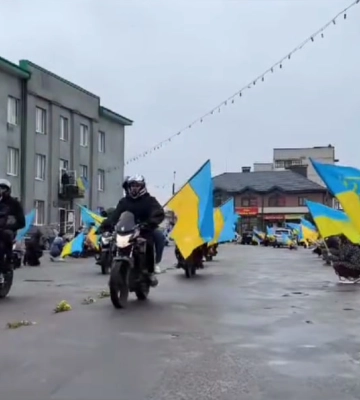 Як у Карпатах: де на Волині є підвісний міст через Стир (Відео)