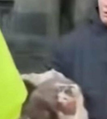Врятовані життя: у центрі Львова зоозахисники вилучили тварин