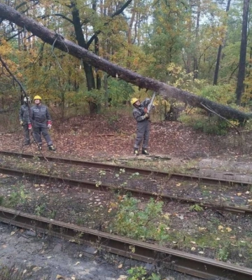 Дерева падали на дороги та лінії електропередач: рятувальники КАРС ліквідували наслідки зливи (ФОТО)