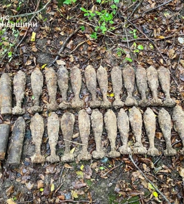 На Дубенщині чоловік, збираючи гриби, знайшов у лісі 26 боєприпасів часів Другої світової