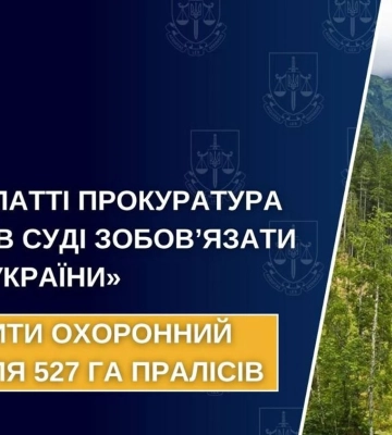 Прокуратура Закарпаття вимагає встановити охоронний статус для 527 га пралісів