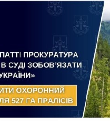 Безпрецедентний позов: Прокуратура Закарпаття вимагає термінового захисту для 527 гектарів унікальних карпатських пралісів