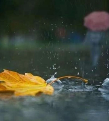 Можливі опади та до +11°: якою буде погода цього вівторка на Львівщині