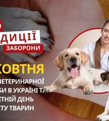 4 жовтня: яке сьогодні свято, традиції та заборони