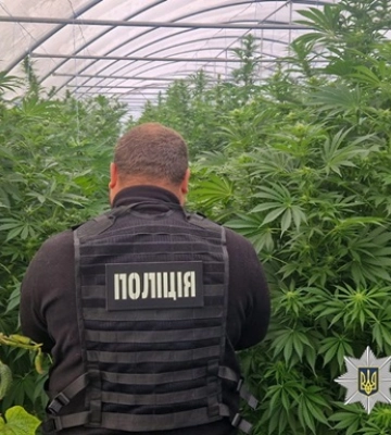 В Днепропетровской области раскрыли наркоаграриев