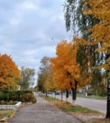 Золота осінь у селищі на Волині: фоторепортаж