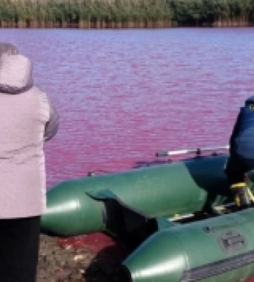 На Одещині ставок раптово почервонів: екологи з’ясовують причину