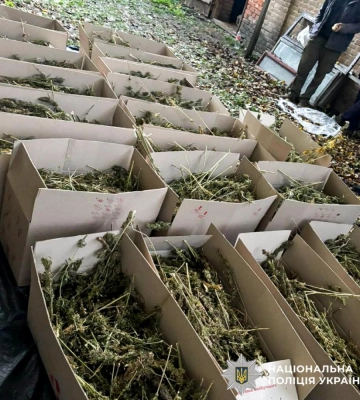 Наркобізнес з  розмахом: у двох жителів Рівного правоохоронці знайшли майже 200 кг «травички» (ВІДЕО)