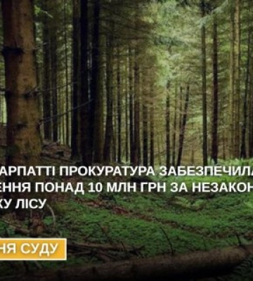 Прокуратура Закарпаття стягнула понад 10 мільйонів гривень збитків за незаконну вирубку лісу