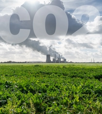 В ООН заявили про рекордне зростання рівня CO2 в атмосфері