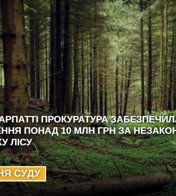 Прокуратура Закарпаття стягнула понад 10 мільйонів гривень збитків за незаконну вирубку лісу