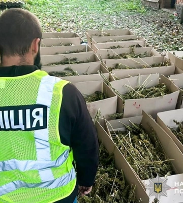 Наркобізнес з  розмахом: у двох жителів Рівного правоохоронці знайшли майже 200 кг «травички» (ВІДЕО)