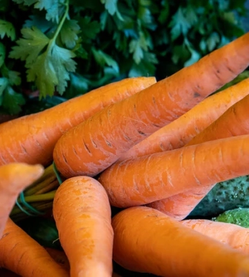 У Києві 4-5 жовтня відбудуться продуктові ярмарки: адреси