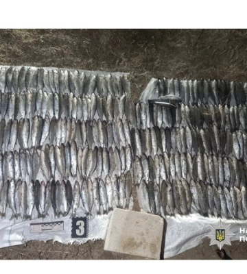 У Нацпарку «Тузлівські лимани» впіймали чергового браконьєра