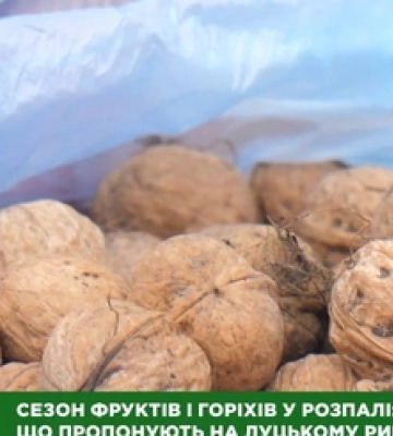 Горіхів цьогоріч – катма: продавці луцького ринку розповіли, чому ціни кусаються (відео)