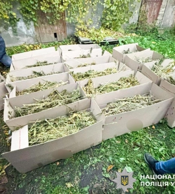 У Рівному арештували злочинців, у яких вилучили понад 180 кілограмів канабісу