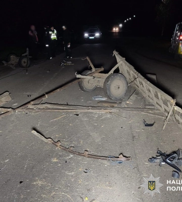 У селі на Житомирщині мікроавтобус розтрощив гужову підводу: є поранений. ФОТО