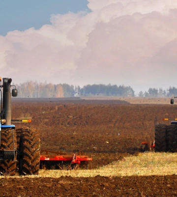 На Волині збирають врожай пізніх культур і сіють озимі