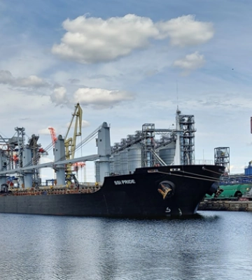 Морським коридором пішло 90 млн т українського зерна