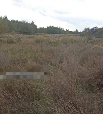 У Луцькому районі в полі виявили вибухівку: що відомо