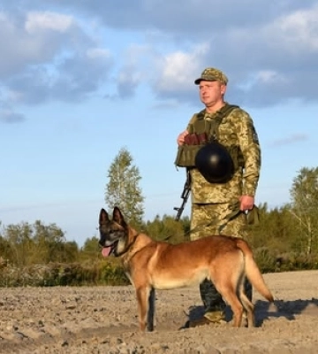 Сім років служби разом: розповіли, як прикордонник з Волині і його собака тримають кордон