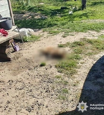 На Житомирщині повідомлено про підозру чоловіку, який застрелив сусідського собаку