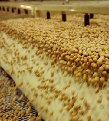 Насіннєвий завод Західного Бугу виробив 17 тис. т продукції