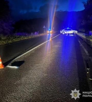 На Львівщині поліцейські затримали водія BMW, який на смерть збив 62-річну пішохідку та втік