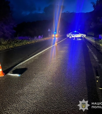 На Львівщині поліцейські затримали водія BMW, який на смерть збив 62-річну пішохідку та втік