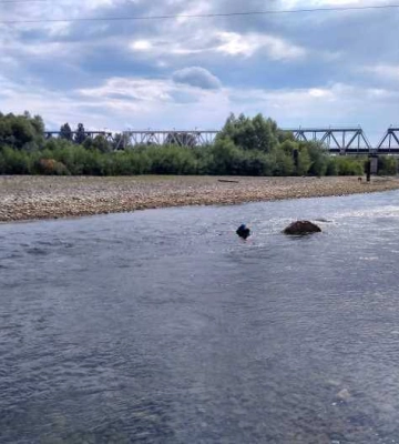 На Львівщині судитимуть директора підприємства за незаконний видобуток гравію