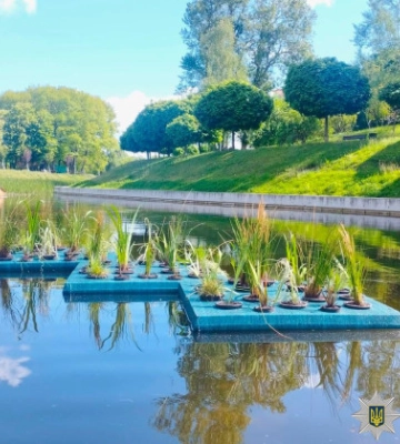 Привласнили 800 тис грн під час благоустрою парку: підозрюють керівника "Київзеленбуду" та підрядника